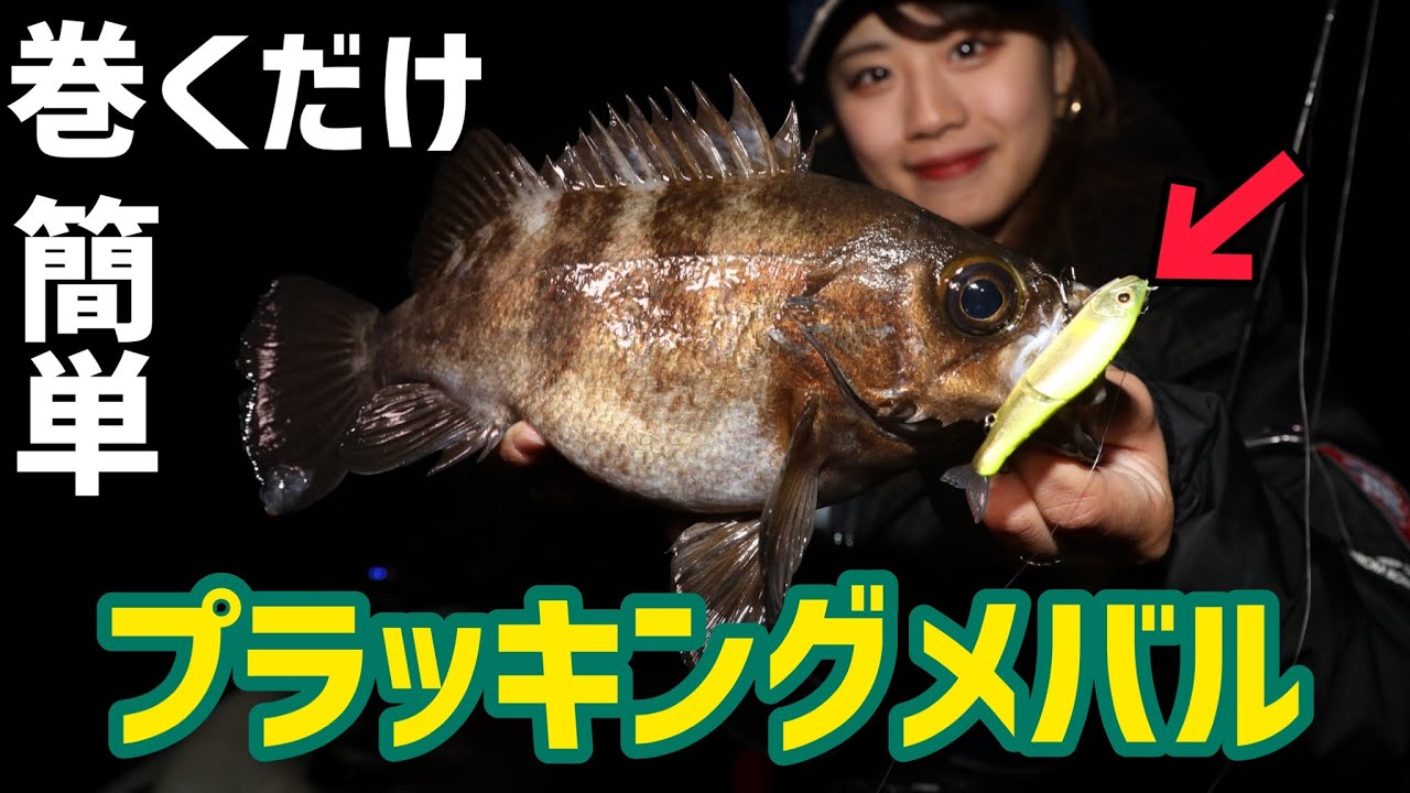 メバリング プラグ と ワーム を使って メバル が 釣れまくる 目標サイズ30cm Youtube