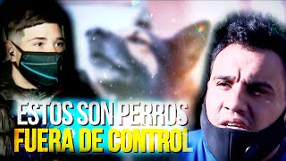 Ataque Furioso De Perros A Una Mujer Las Dos Caras De La Historia