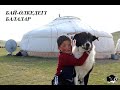 Бөтен қой бар ма? Бай-Өлке баласы