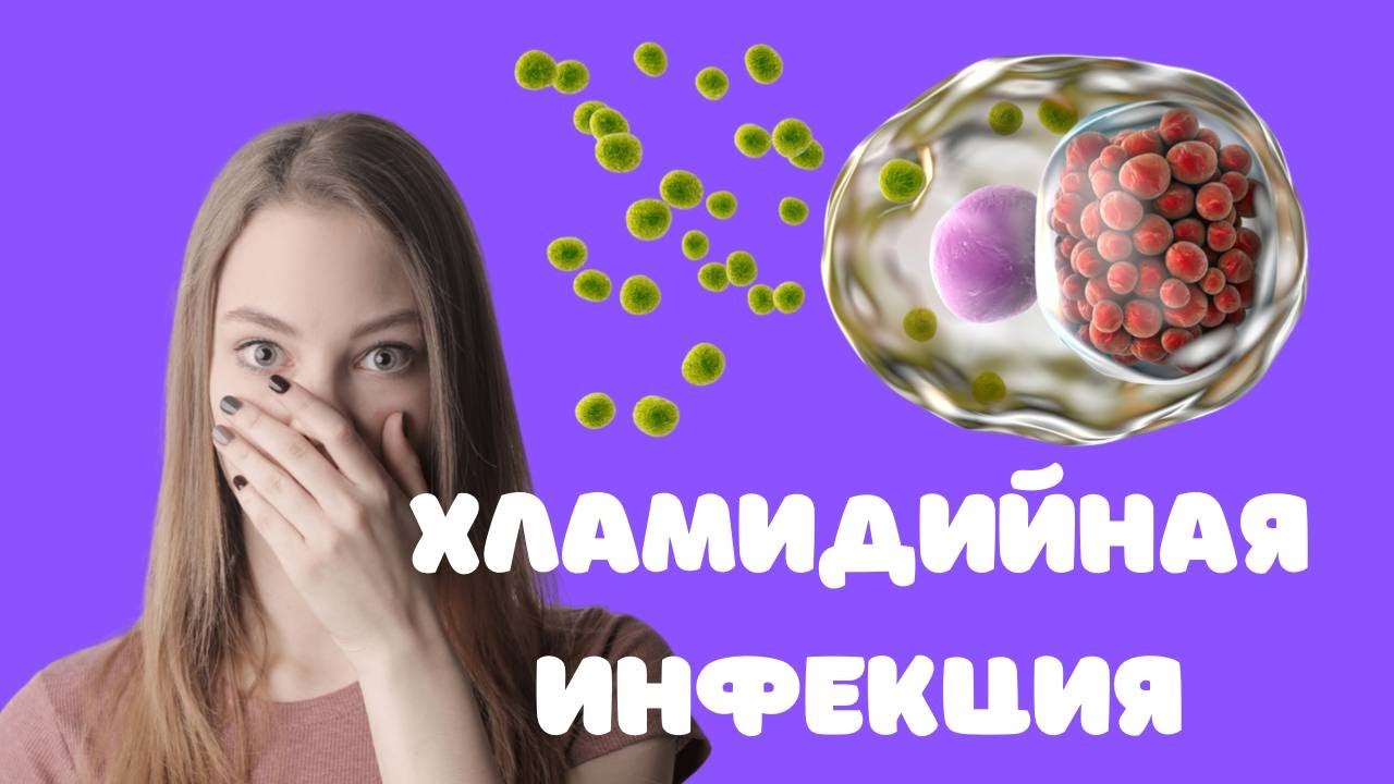 Хламидийная инфекция (для врачей) @DrOlenaB - YouTube