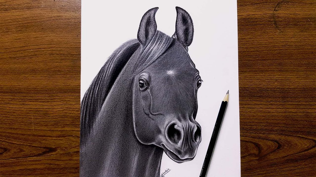 تعليم الرسم كيفية رسم الخيول بالرصاص - YouTube