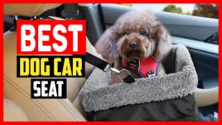 ✅Top 5 Best Dog Car Seat in 2023