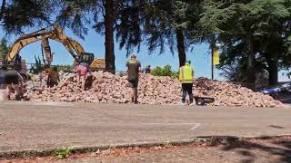 Free Brick Day - June 21, 2026 (timelapse)
