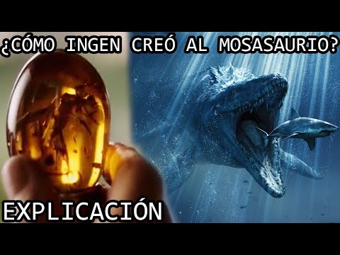 Video: ¿Cuándo se extinguió el mesosaurio?