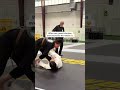 I made him proud lol 🤣 #jiujitsu #bjj #jiujitsugrappling #brazilianjiujitsugirl #brazilianjiuji...