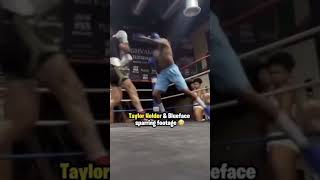 Taylor Holder and Blueface sparring footage 🥶