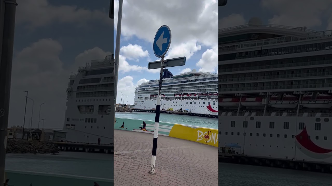 Norwegian Dawn Bonaire 2026 #norwegiancruiseline #norwegiancruise #bonaire #bahamas #nassau #travel