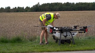 Vahekultuuride külvamine drooniga / Planting cover crops with a drone