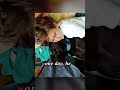 🐾 Rescue Dog Becomes a Real-Life Hero | Max the Labrador Saved a Boy’s Life 💔#shorts #shortvideo