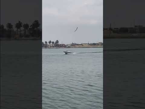 عبد الحليم حافظ و ضي القناديل و شط العرب