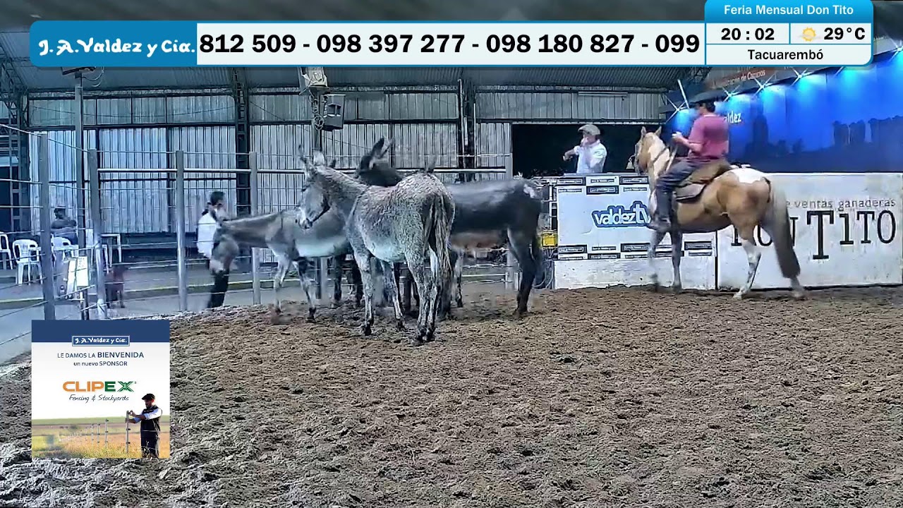 Feria Mensual Don Tito