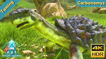 ARK Survival Ascended : Tame a Carbonemys