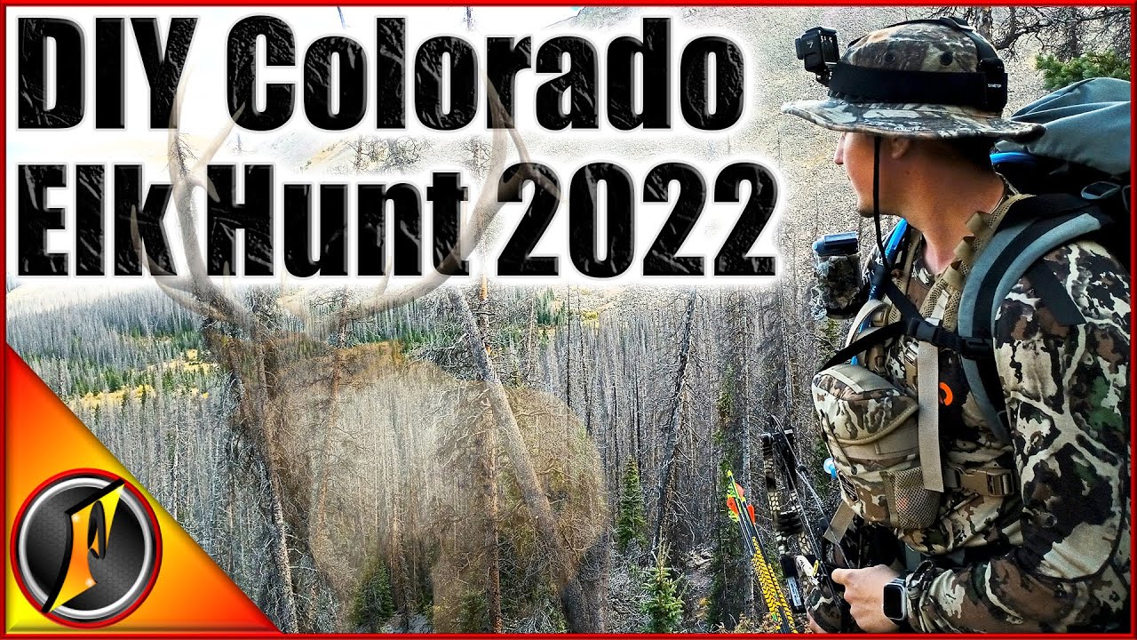 DIY Archery Elk Hunt in Colorado 2022! YouTube