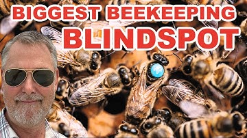 Beekeeping: Everything You Ever Wanted To Know About Queens