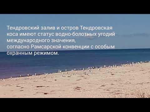 Черноморский заповедник жемчужина природы около Железного Порта