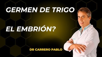 Beneficios del GERMEN DE TRIGO! Propiedades, como comerlo y contraindicaciones. #vidasaludable