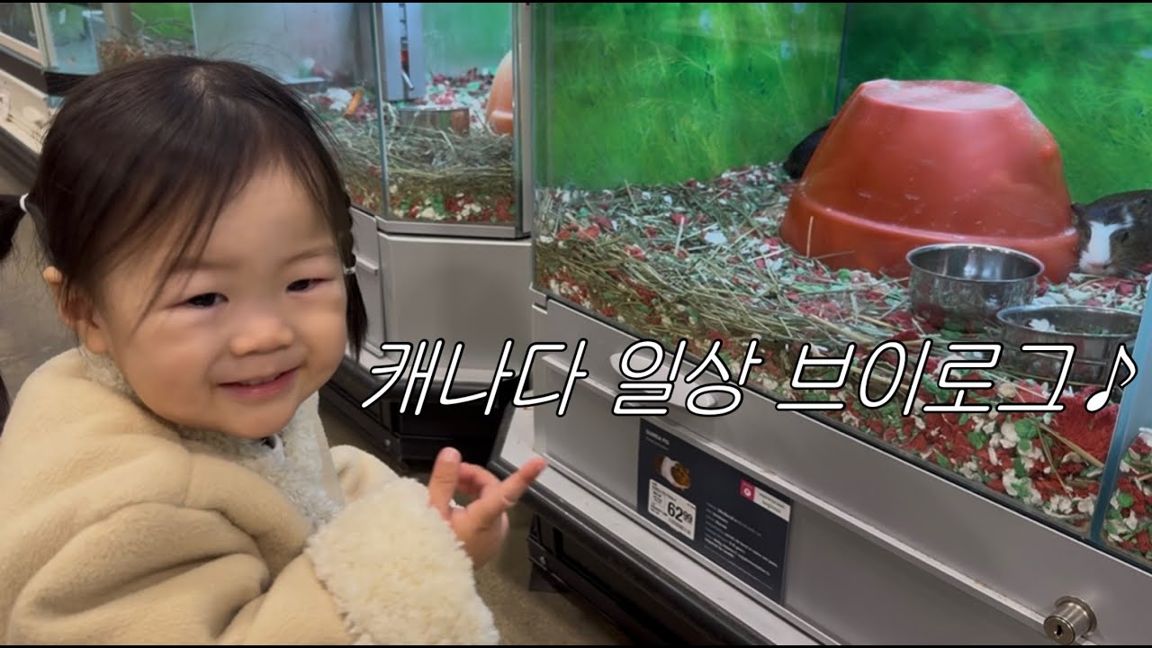 캐나다 친구 생일파티부터 블랙프라이데이 쇼핑까지 🛍️ | 캐나다쇼핑, 캐나다 데이케어 강의, 캘거리 아울렛, 캐나다 브이로그