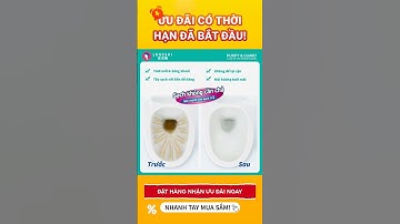 🚽 Nước tẩy bồn cầu LOGESKI – Làm sạch nhanh, khử mùi hiệu quả, giữ hương thơm lâu