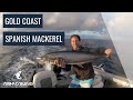 Gold Coast Spanish Mackerel