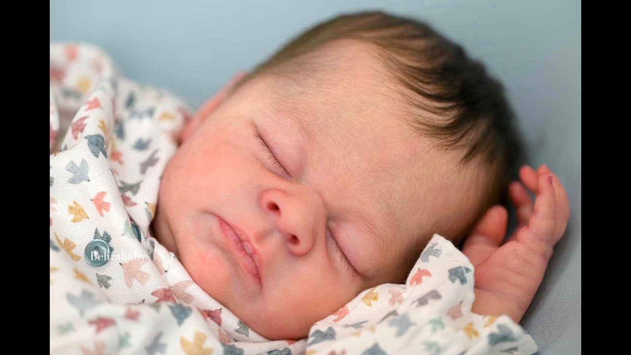 Theo by Doris Moyers Hornbogen reborned by Belirababy Reborn