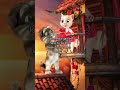 Lost Media Games Lostmedia Talkingtom Tomlovesangela Talkingangela Mytom Outfit7 Memes 