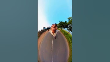 Nose Mode 🔛 Insta 360 X3 view 😍
