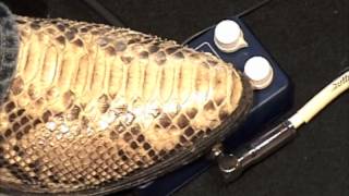 Caroline OLYMPIA Fuzz guitar effects pedal demo - YouTube
