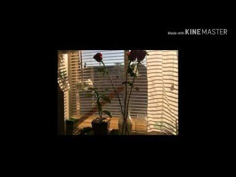❥ . 001 : 5초짜리 아델 - HELLO 커버 영상 ( 쥬힛 ) 💕