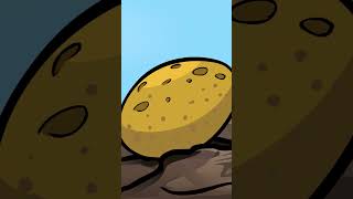 The Egg Song