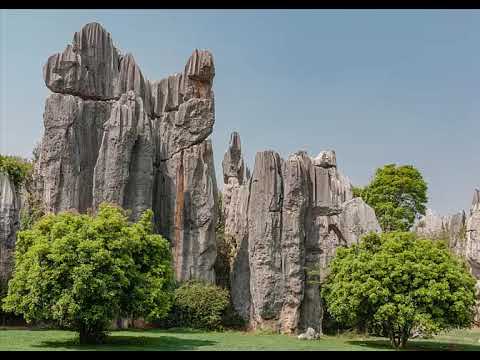 Video: Amazing Planet: Bosque De Piedras