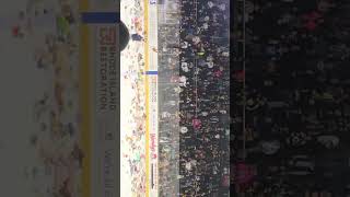 Providence bruins bear toss for kids with cancer ♋️