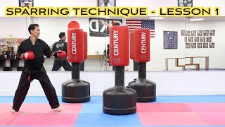 Karate Sparring Techniques and Drills / Lesson 1
