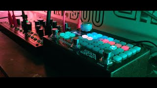 Generative Harvest (Zoia, 0-Coast)
