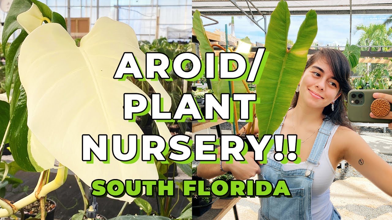 Introducing Perfect Choice Nursery South Florida Garden Center YouTube