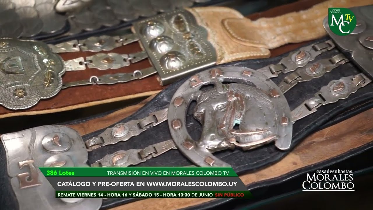REMATE 14 Y 15 DE JUNIO PLATERIA Y PIEZAS CRIOLLAS - MCTV