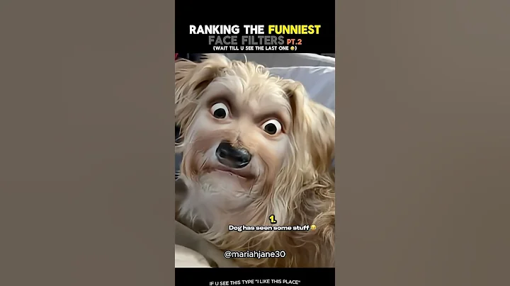 Ranking Best Face Filters Pt.2