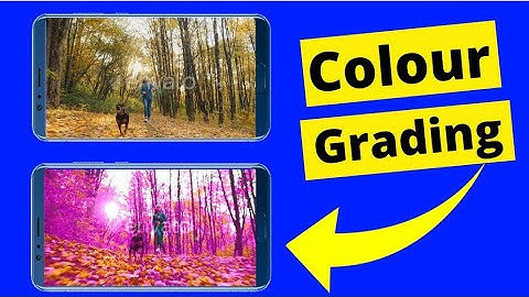 Alight Motion Colour Grading Video Editing / Alight Motion Replace Any Colour -Colour Changing Video