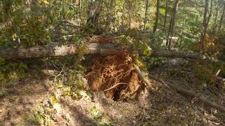 Hurricane Helene Damage #5
This video shows some of the damage that hurricane Helene did to my property. Hurricane Helene Damage #5