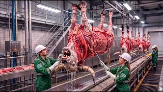 Inside the Honey Red Brahman Bull Leather Factory | Driving Gloves & Royal Saddles