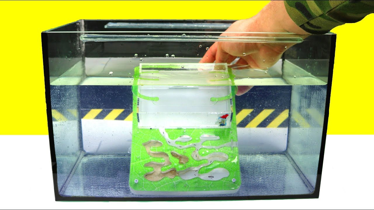 ПОДВОДНАЯ МУРАВЬИНАЯ ФЕРМА. ВОЗМОЖНО ЛИ СДЕЛАТЬ МУРАВЬИНУЮ ФЕРМУ ПОД ...