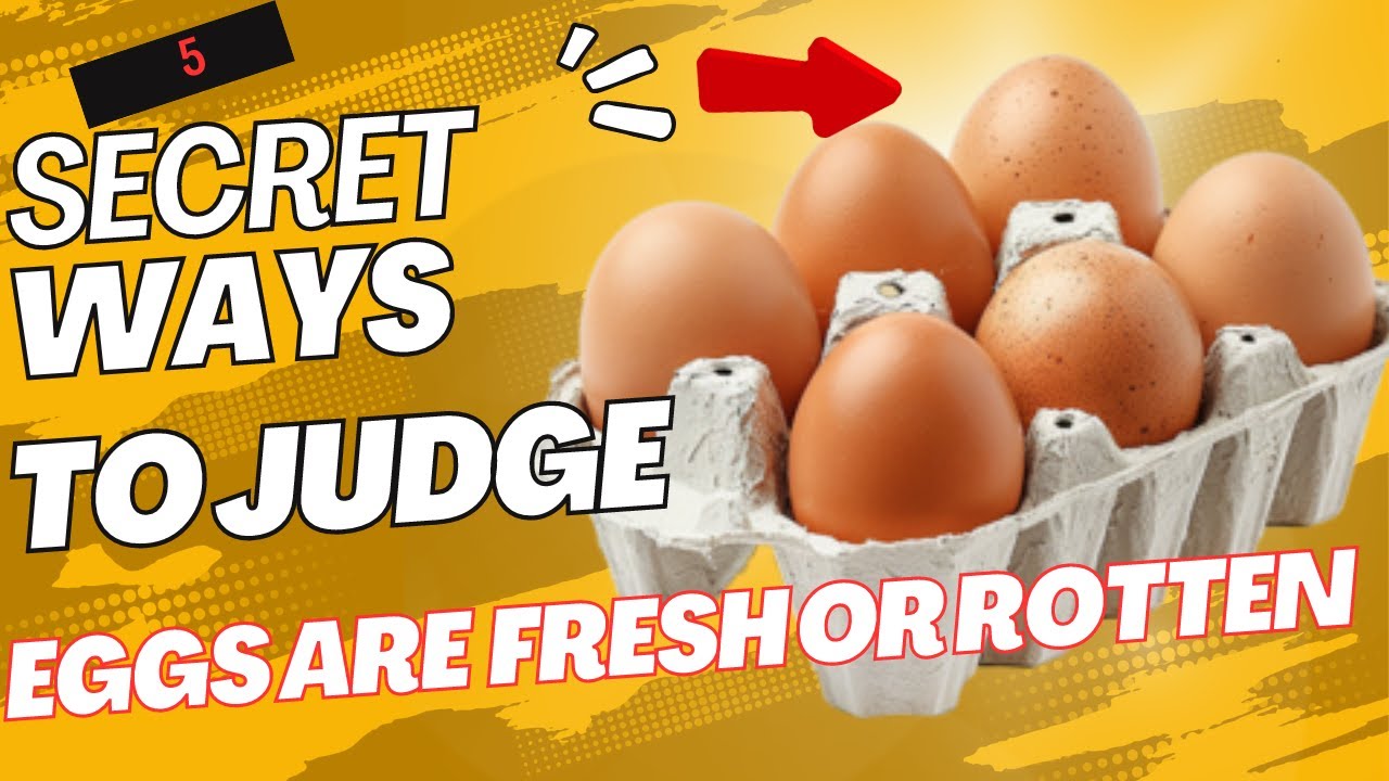 5 Secret Ways To Judge That Eggs are Fresh or Rotten - YouTube