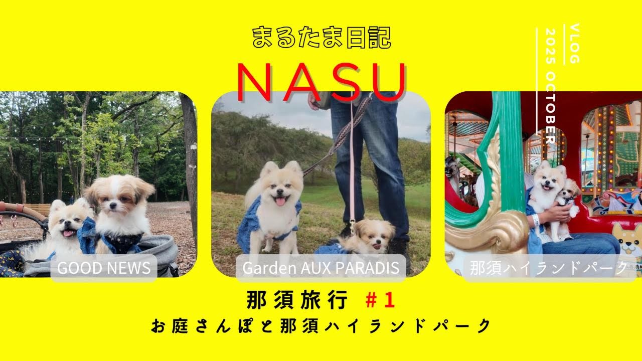 【那須 犬 旅行VLOG】お庭さんぽと那須ハイランドパーク🐾Garden AUX PARADIS & GOOD NEWS NASU｜まるたま日記 #1
