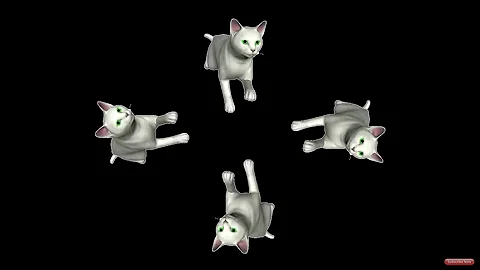 3D - голограмма 