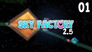 SkyFactory 2.5 : Episode #1 : Pilotness