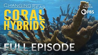 Coral Hybrids  Full Episode