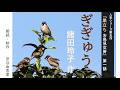超人気シリーズ小説【朗読】諸田玲子「第一話 ぎぎゅう」(シリーズ5作目『巣立ち お鳥見女房』より)~オーディオブック~ 朗読:京谷由香里