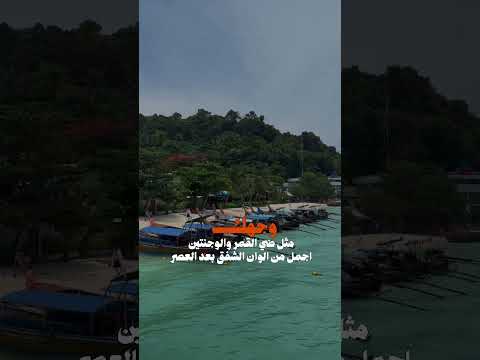 اسمعو الشيله كامله تخبل اسمها ياسر الشهراني انت الاوكسجين
