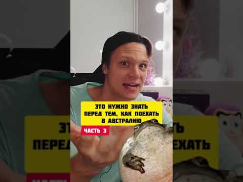 НИКОГДА не приезжай в Австралию. И вот почему | Часть 3