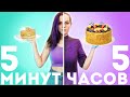 МЕДОВИК 5 минут vs. 5 часов