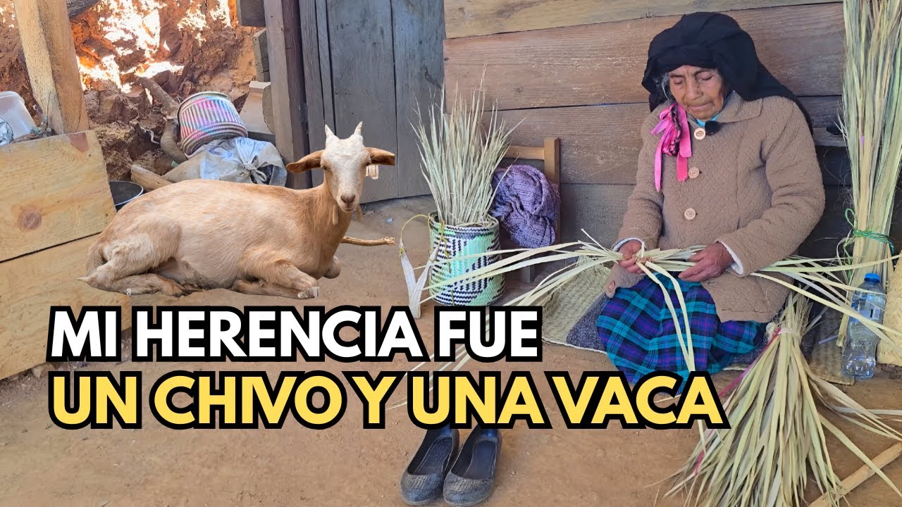 «Они сказали мне, что выйти замуж — это хорошо».